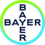 Bayer_Cross_czarny_print